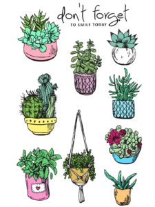 Hanging Basket Plants Succulent Pots Metal Cutting Dies Clear Stamps Card Craft