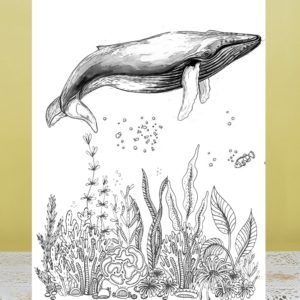 Big Whale Coral Silicone Clear Stamps Scrapbooking Card Making Album Craft