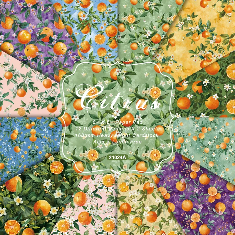Citrus Fruit Orange Tangerine Scrapbook Card Journal Craft Cardstock Paper