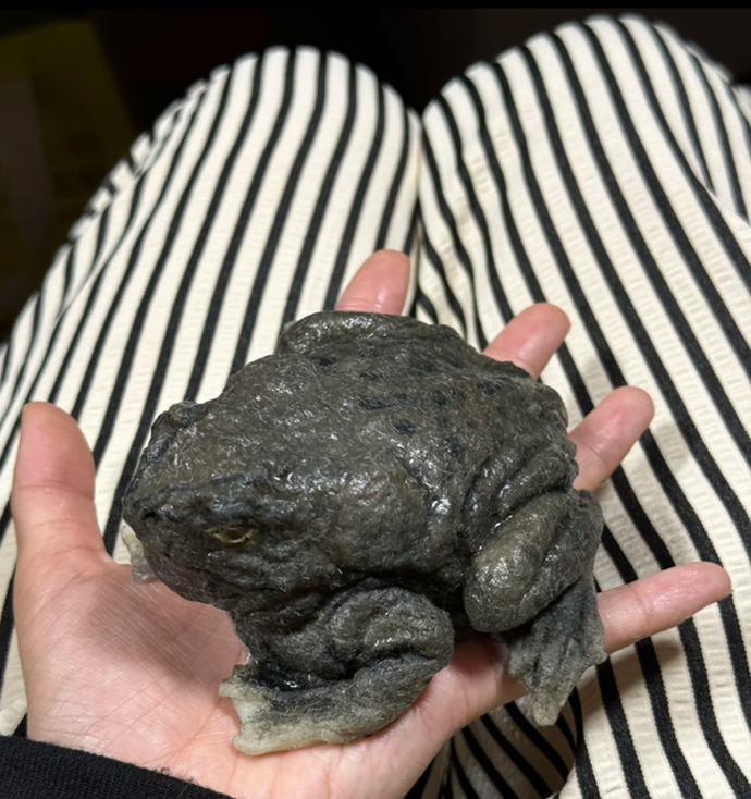 Funny Frog Squishy Squeezable Fidget Toys Nervous Squeezable Stress Relive Toys